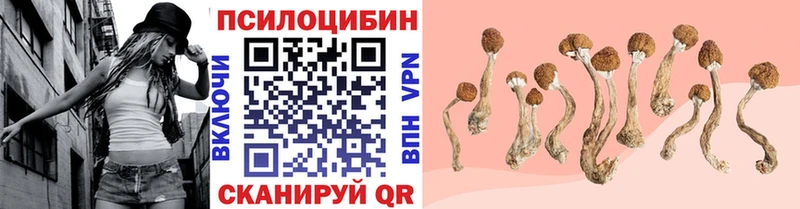 ОМГ ОМГ ТОР  площадка формула  Псилоцибиновые грибы Cubensis  Малая Вишера 