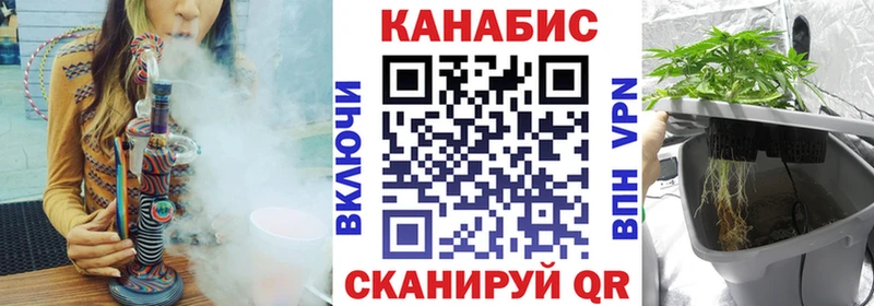 где купить   нарко площадка клад  Каннабис семена  Малая Вишера 